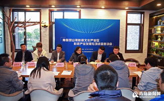 靈山灣影視企業(yè)獲2042萬影視專項資金